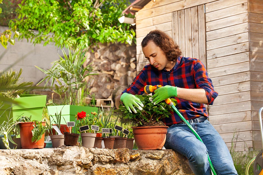 Gardening 3