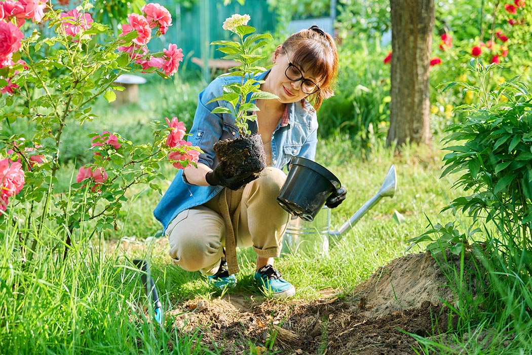 Gardening 5